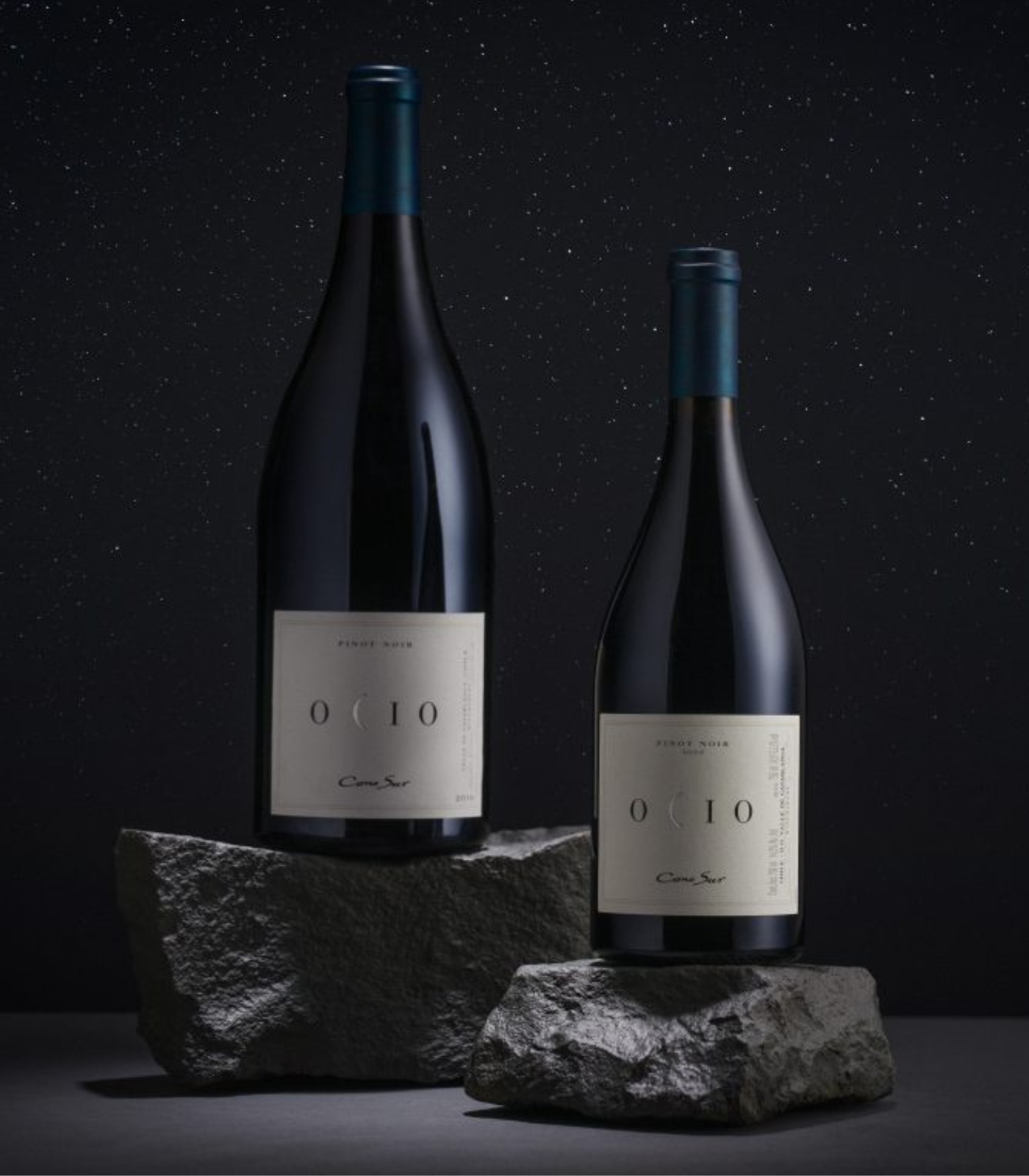 Cono Sur Ocio Pinot Noir 2016 – Premium Chilean Red Wine