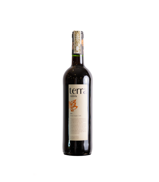 Terra Calida Tinto Red | Spanish Wine 2015 750ml. BUY1 GET1 w/ Wine Bag