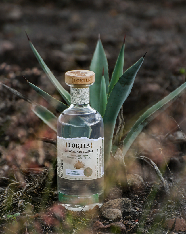 Lokita Mezcal Espadin 8 Year Old - Mexican Tequila (70cl; 40%)